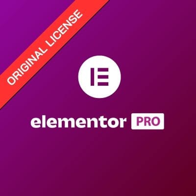Elementor Pro