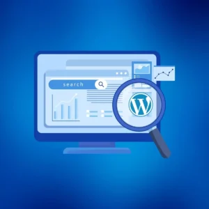 Professional SEO Setup Service