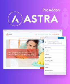 Astra Pro Addon 4.12.1 – WordPress Theme for Any Website